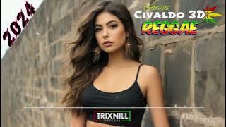 REGGAE DO MARANHÃO LIMPO 2024 [ Bebe Rexha € David Guetta ]  (one in a Million) Trix Nill