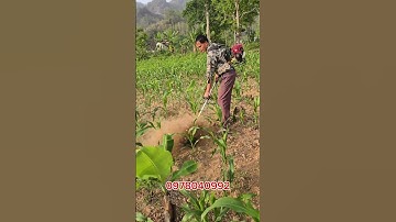 Máy cắt cỏ vun gốc đa năng #mayxoidatmini