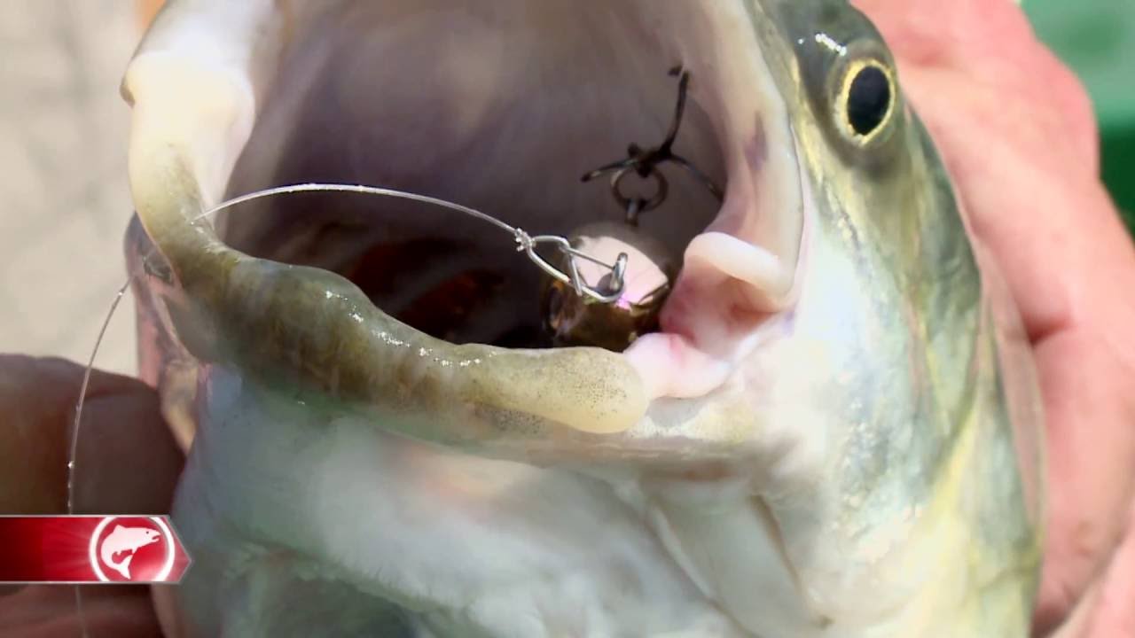 Balinra a Tisza-tavon!