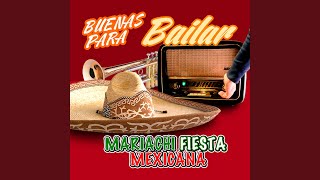 Video thumbnail of "Mariachi Fiesta Mexicana - Macarena"