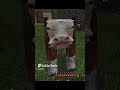 ПОВ : НОВЫЙ ВИД КОРОВ // ПОДБОРКА МАЙНКРАФТ МЕМОВ - 8 ЧАСТЬ #майнкрафт #майнкрафтприколы