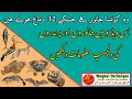 Animals general knowledge || Animal and birds Quiz || Animal and birds Question Answer|Socioon Winit