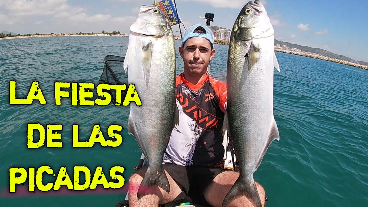 🎣𝗘𝗦𝗧𝗘 𝗖𝗘𝗕𝗢 𝗘𝗦 𝗜𝗡𝗖𝗥𝗘𝗜𝗕𝗟𝗘 💯pesca desde kayak con cebo vivo y muerto.
