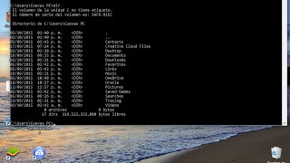 Comandos CMD [DIR DIR /P DIR /W CLS MD CD TREE VOL DEL]