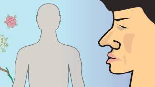 Video 12 Innate Immunity and Adaptive Immunity