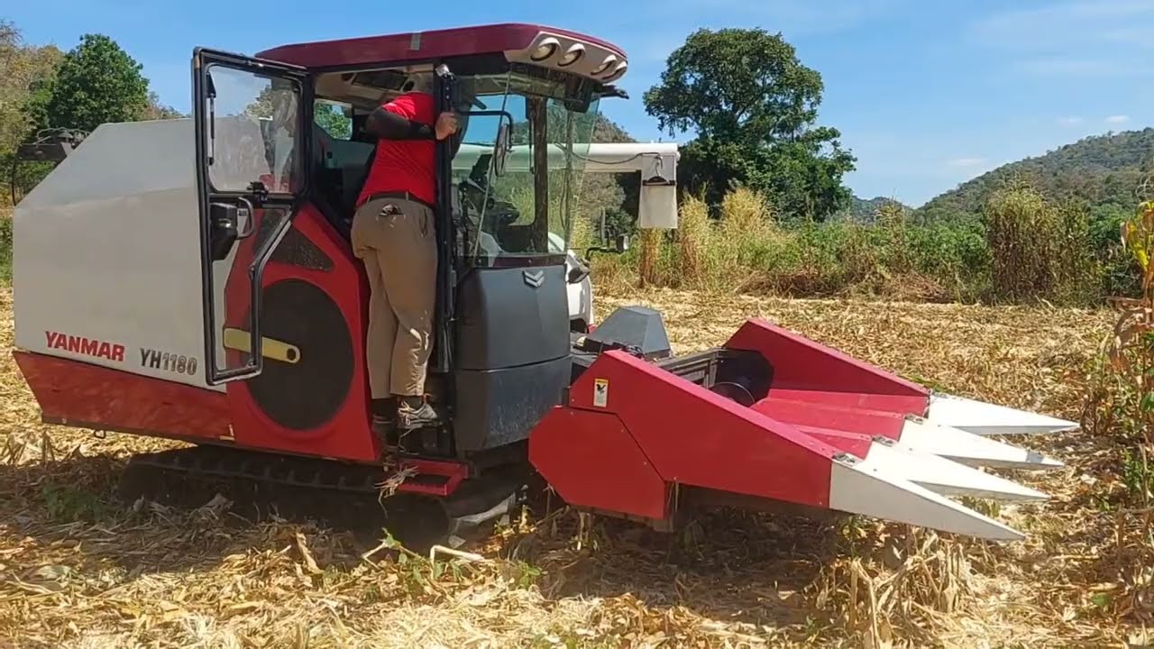 ล้ำไปอีกขั้น ใช้ระบบดาวเทียมขับ YANMAR YH1180 รถเกี่ยวข้าวโพด / เกี่ยวนวดข้าว
