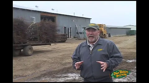Dave Wilson Nursery Bare Root Tree Harvest