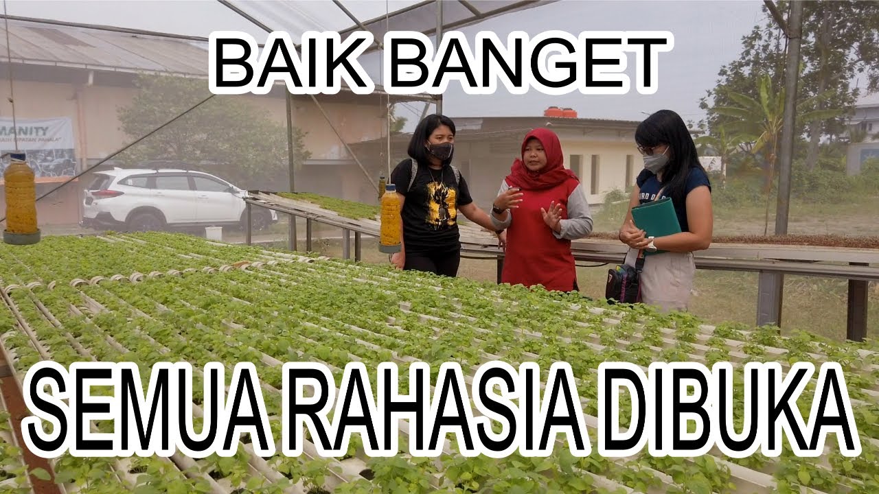 Tutorial Hidroponik PALING LENGKAP SAMPAI SEDETIL-DETILNYA - CHARLIE TJENDAPATI & PUPUT