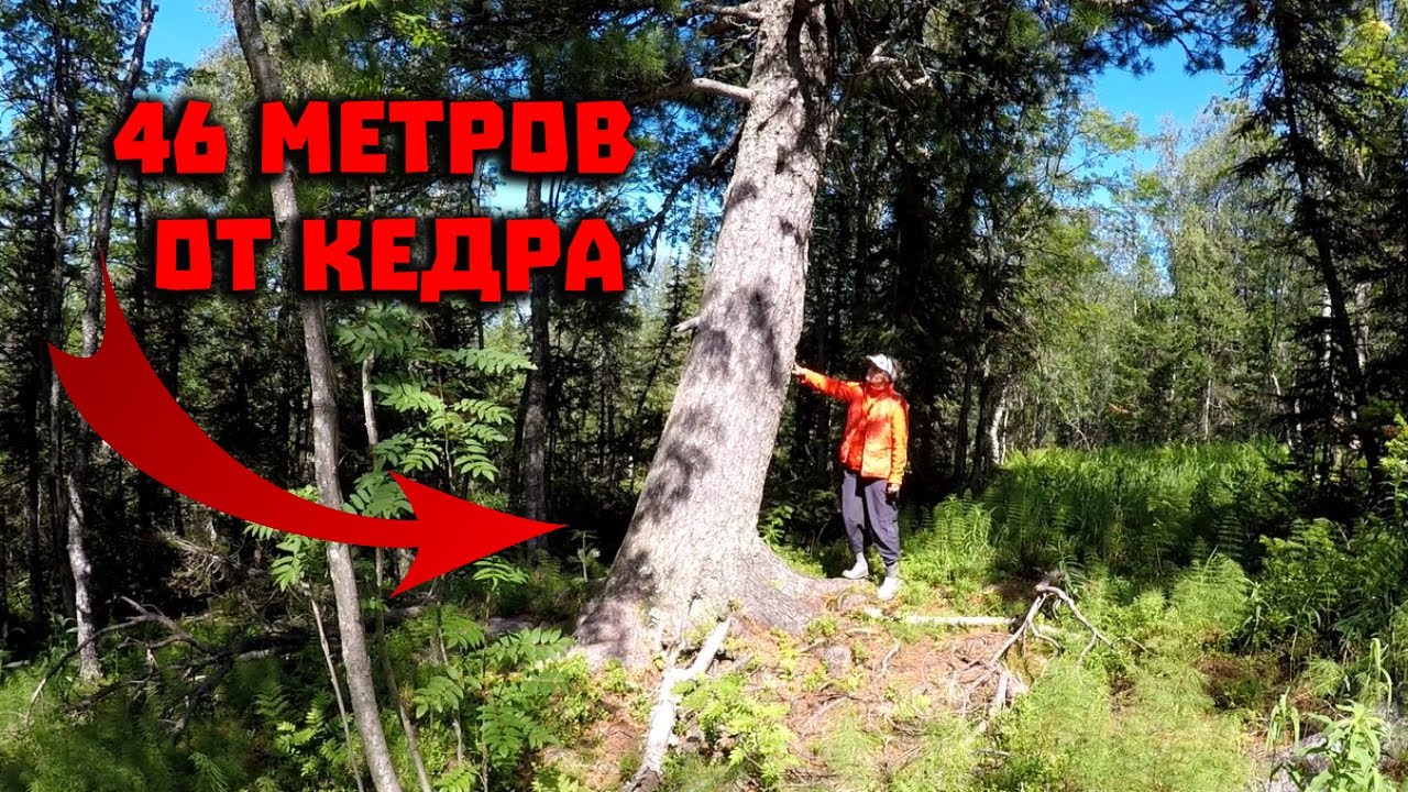 Перевал думала на машине Перевал думала на машине