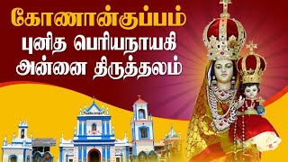 LIVE - 01-05-2024 | திருப்பலி | Konankuppam Our Lady Periyanayagi Shrine | Wednesday Mass | Mercy TV