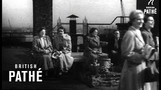 Roof Garden 1954