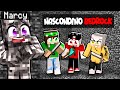 NASCONDINO DI BEDROCK SU MINECRAFT