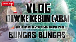 Vlog OTW ke Kebun Cabai 🌶️ Perjalanan Santai Penuh Drama Cabe