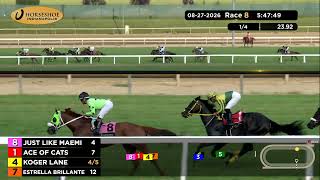 Vidéo de la course PMU RACE 8
