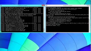 Linux Installation (Master/Agent) - install Puppet on a Linux system Profile