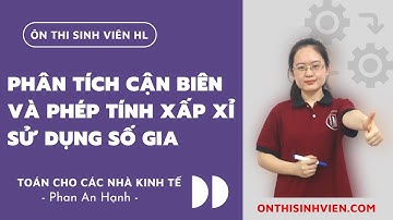 Phân tích cận biên và phép tính xấp xỉ sử dụng số gia - Toán cho các nhà kinh tế NEU |👥 Phan An Hạnh