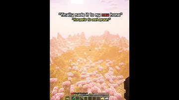 Minecraft POV: Forgot to set spawn point #minecraft #shorts