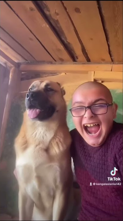 Download lagu arda gebes