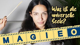 Einblick In Die Welt Der Zauberer Der Zauberspiegel I Miri Simsek