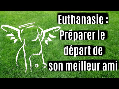 Vidéo: Dire au revoir à jamais: Comment savoir s'il est temps d'euthanasier mon chien?