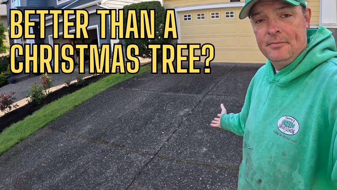 ASMR Surface Cleaning, Satisfying Curb Appeal. 