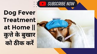 Dog Fever Treatment at Home || कुत्ते के बुखार को ठीक करें by BEAGLE THE ZOOYI 115 views 1 month ago 2 minutes, 57 seconds