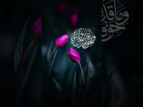 ١٠ تشرين الأول ٢٠٢٥