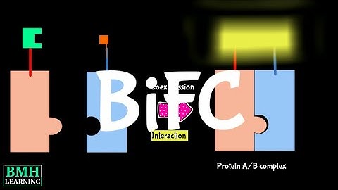 Bimolecular Fluorescence Complementation Assay | BiFC Assay |