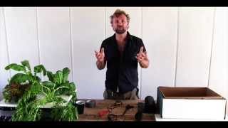 Out of the Box - Hydroponics