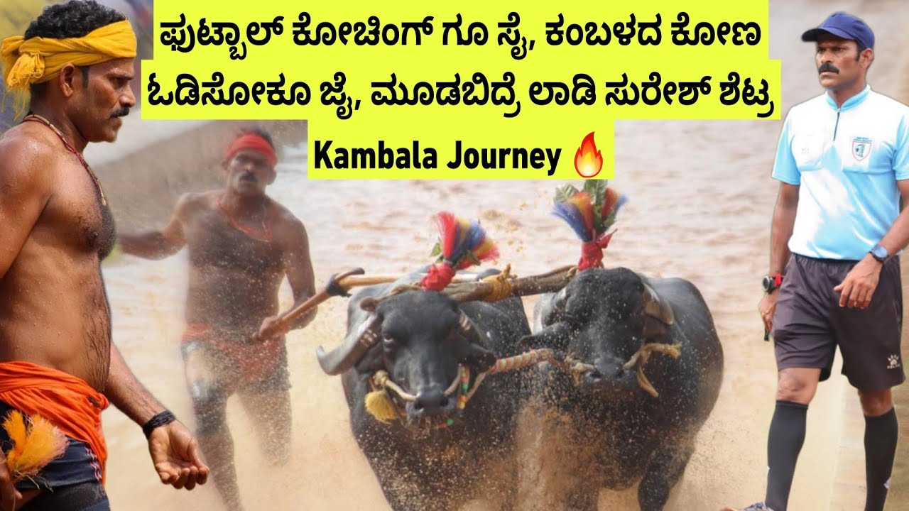ಫುಟ್ಬಾಲ್ ಕೋಚ್ ಆಗಿದ್ದ Mudabidre Ladi Suresh Shetty ಕಂಬಳ ಓಟಗಾರನಾಗಿ 60+ ಮೆಡಲ್ ಮಾಡಿದ ಸ್ಟೋರಿ🔥😎