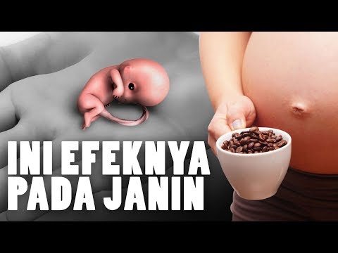 Video: Adakah anda minum kopi semasa ttc?