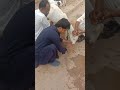 Hamari bakri ki tabiat ho gai thi kharab #virqlshorts #goat #vlog #youtubeshorts