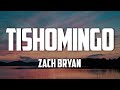 Zach Bryan Tishomingo Lyrics mp3