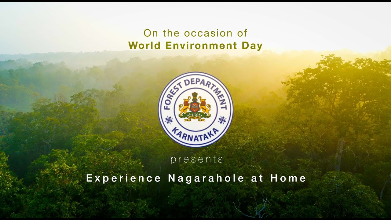 Experience Nagarahole at Home