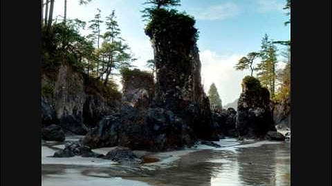 Segue - Honest and Truly