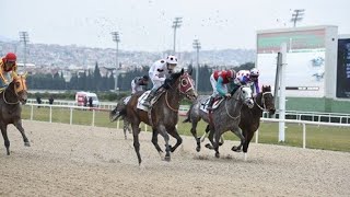 Scoutleo - G3 Fehmi̇ Si̇msaroğlu Koşusu
