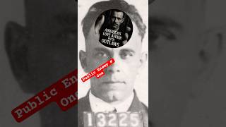 Celebrity 🎥 The Making of a Myth | John Dillinger — The Price of Fame Net Worth