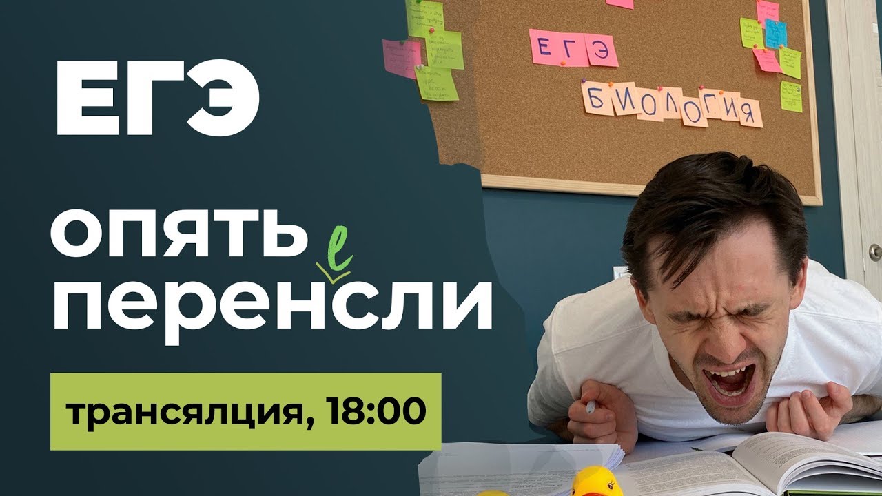 Что теперь делать?! Перенос ЕГЭ, ОГЭ отменили