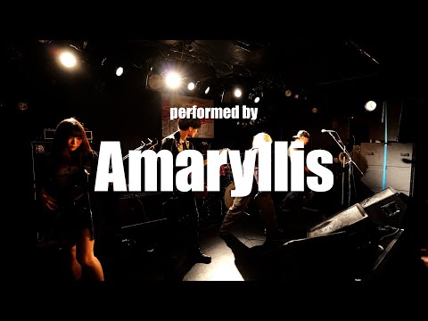 【School's Out 2024】Amaryllis【横浜予選】