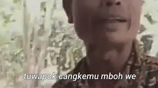 STATUS WA LUCU JAWA|AUTO NGAKAK!!