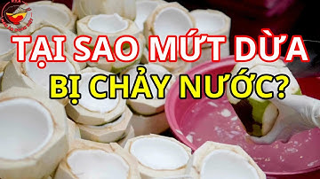 Tại Sao Mứt Dừa Bị Chảy Nước? Nguyên Nhân Và Cách Khắc Phục
