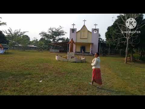 bilsigitelni sports..