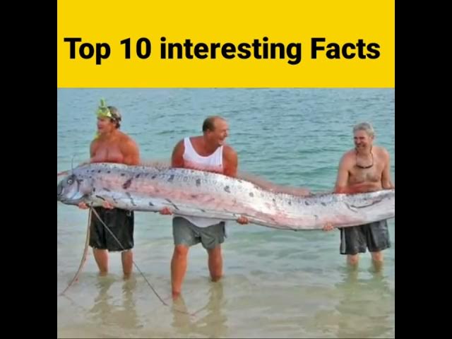 ⚡ top 10 interesting facts in Telugu 😱#shorts#intrestingshorts#trendingshorts😲