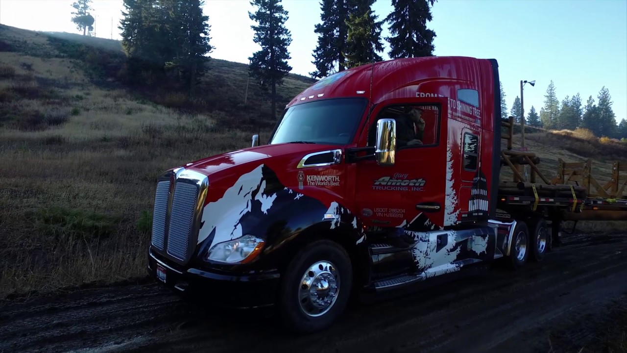 Cutting of the U.S. Capitol Christmas Tree 2016 McCall, Idaho YouTube