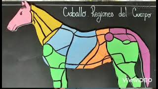 Regiones anatómicas del caballo
