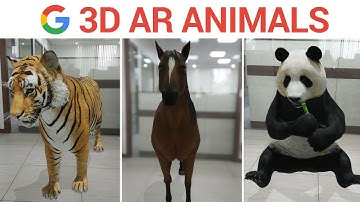 How to view in 3d Google search ?