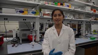 SHINE 2019 Biomedical Engineering Lab (Professor Zavelata)