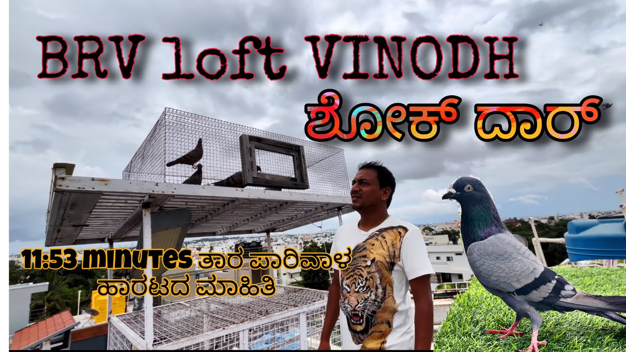 B R V  Loft | Real life Shokdhar |Episode 39 | ರಿಯಲ್ ಲೈಫ್ ಶೋಕ್ ದಾರ್