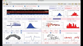 Ehsan Sedaghat-Nejad, P-sort tutorial 1, overview