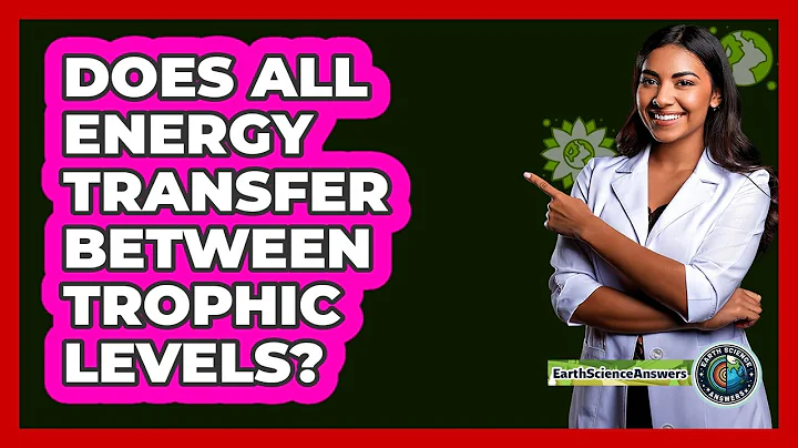 Does All Energy Transfer Between Trophic Levels?